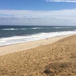 Meet your Posher, Liv